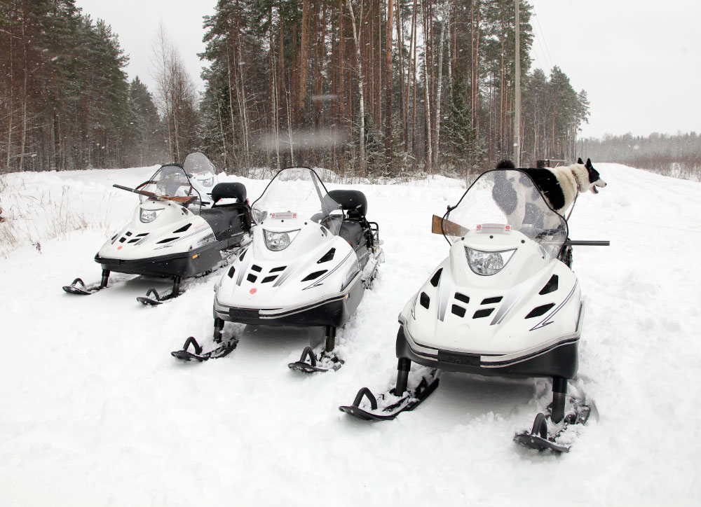 СНЕГОХОД РМ ТАЙГА ВАРЯГ 550 V в Муроме