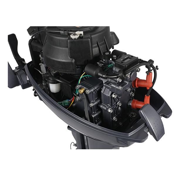 ЛОДОЧНЫЙ МОТОР ALLFA CG Т9,9 Limit в Муроме