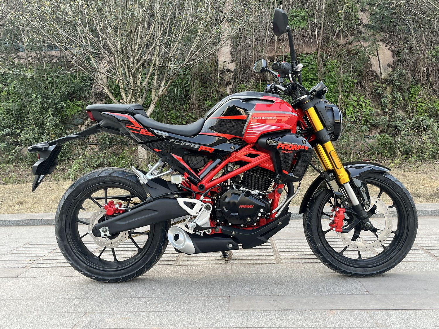 Мотоцикл PROMAX CB300 в Муроме