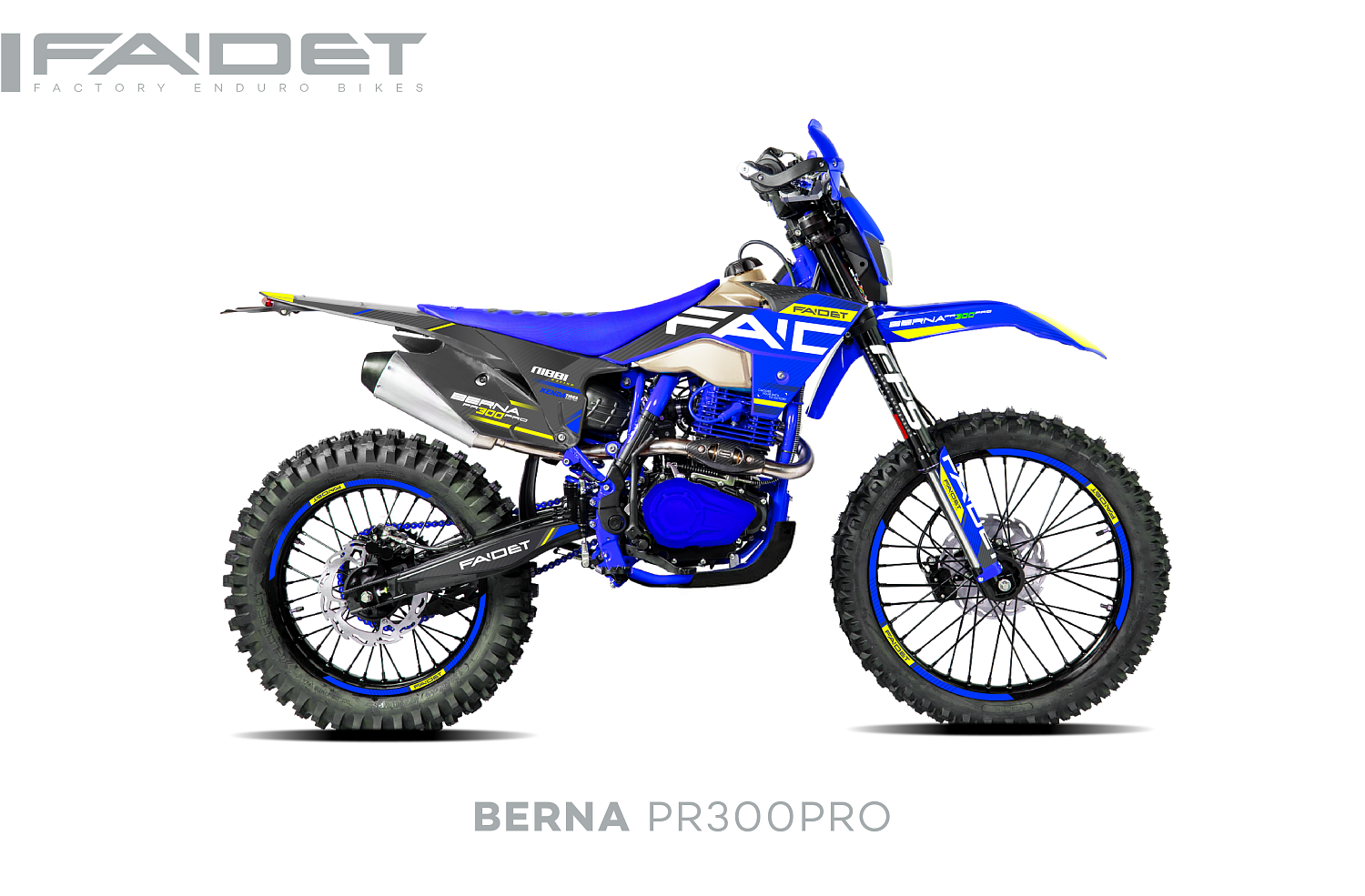 Кроссовый мотоцикл FAIDET BERNA PR300-PRO FPS в Муроме