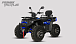 Квадроцикл PROMAX TAURUS 300 MAX-PRO LONG в Муроме
