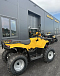 КВАДРОЦИКЛ IRBIS ATV 250  в Муроме
