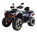 Квадроцикл MOTOLAND (МОТОЛЕНД) 300 MAX X в Муроме
