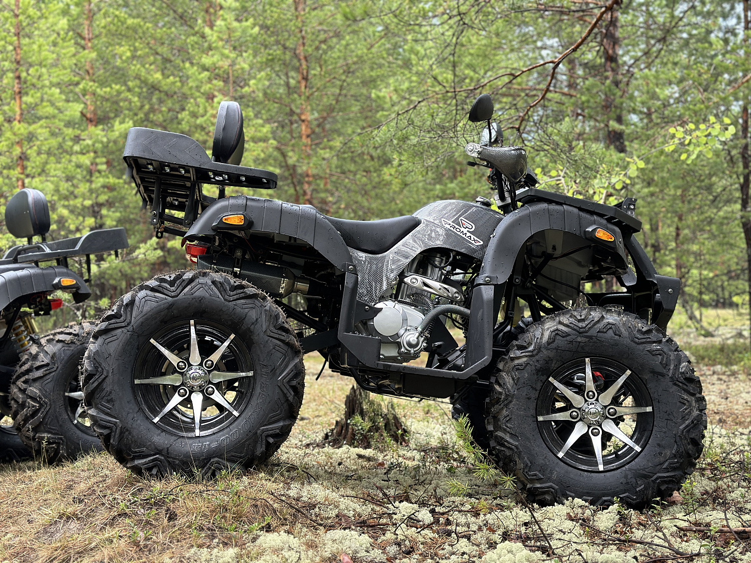 Квадроцикл PROMAX 320 DOMINATOR (2025) в Муроме