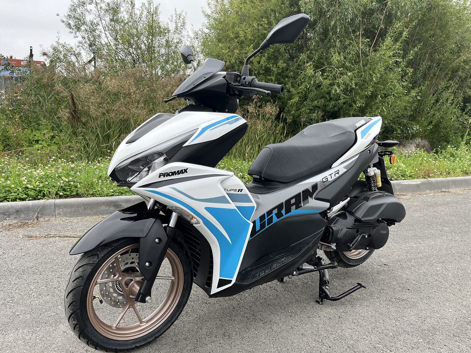 Скутер PROMAX TURAN 250 (49) в Муроме