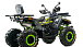 Квадроцикл MOTOLAND (МОТОЛЕНД) VOX200 WILD TRACK X WINCH (баланс. вал) в Муроме