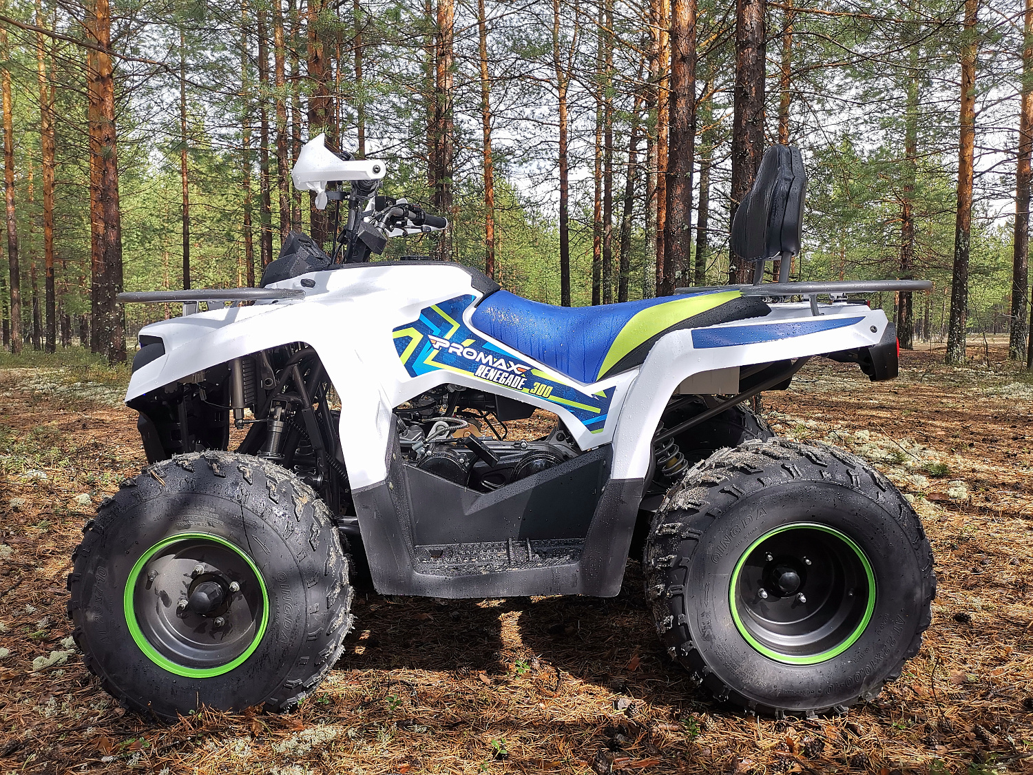 Квадроцикл PROMAX RENEGADE 280 (2025) в Муроме