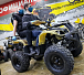 Квадроцикл PROMAX ATV 250 (2025) в Муроме
