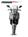 МаксиСкутер PROMAX-HONDA ADV 150 (49) (Inspired by HONDA) в Муроме