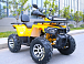 Квадроцикл MOTOLAND (МОТОЛЕНД) VOX200 WILD TRACK X PRO (баланс. вал) в Муроме