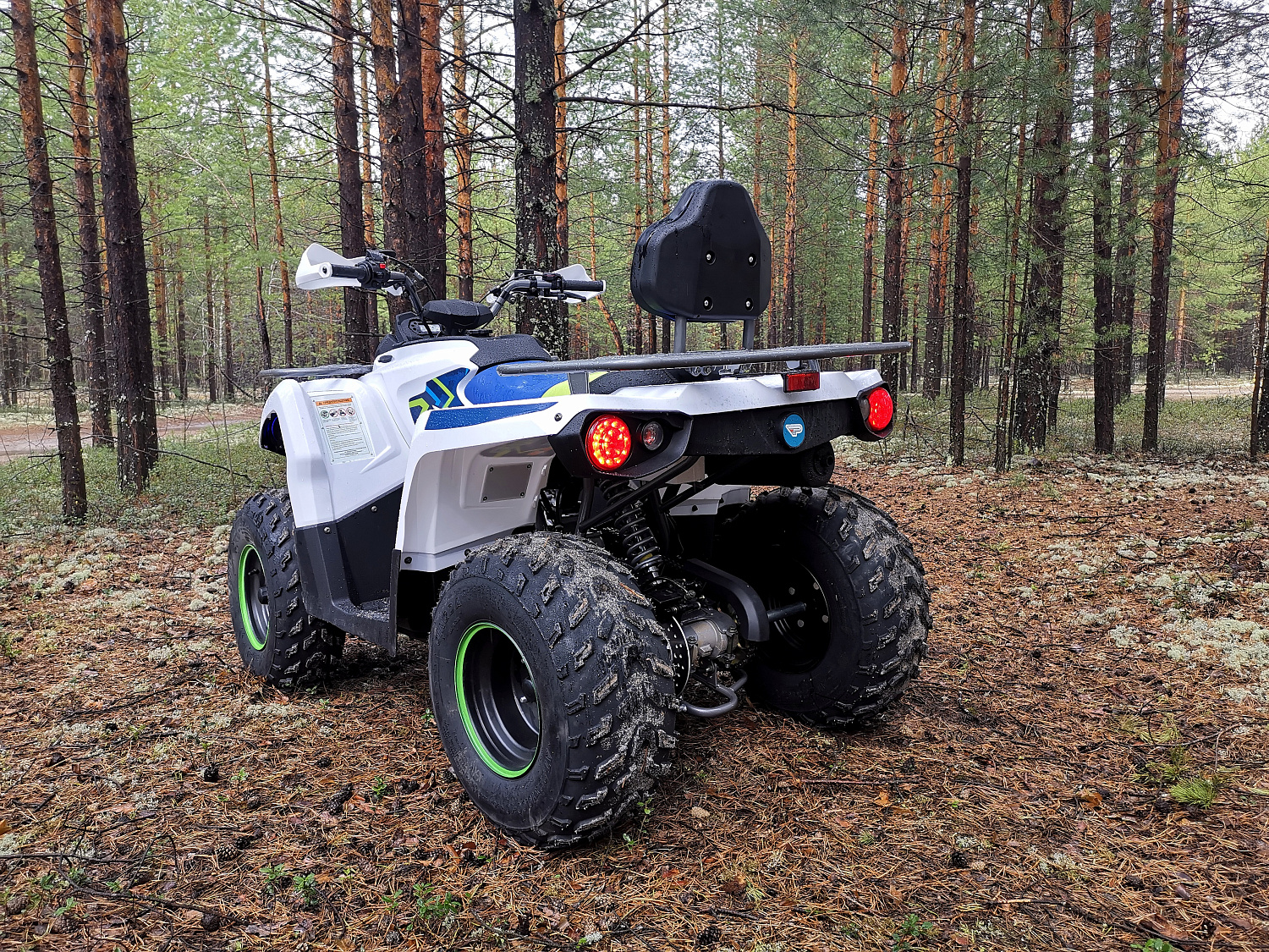 Квадроцикл PROMAX RENEGADE 280 (2025) в Муроме