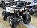 Квадроцикл PROMAX WILD 2.0 190 LUX в Муроме