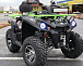 Квадроцикл PROMAX RENEGADE 280 WINCH PRO (2025) в Муроме