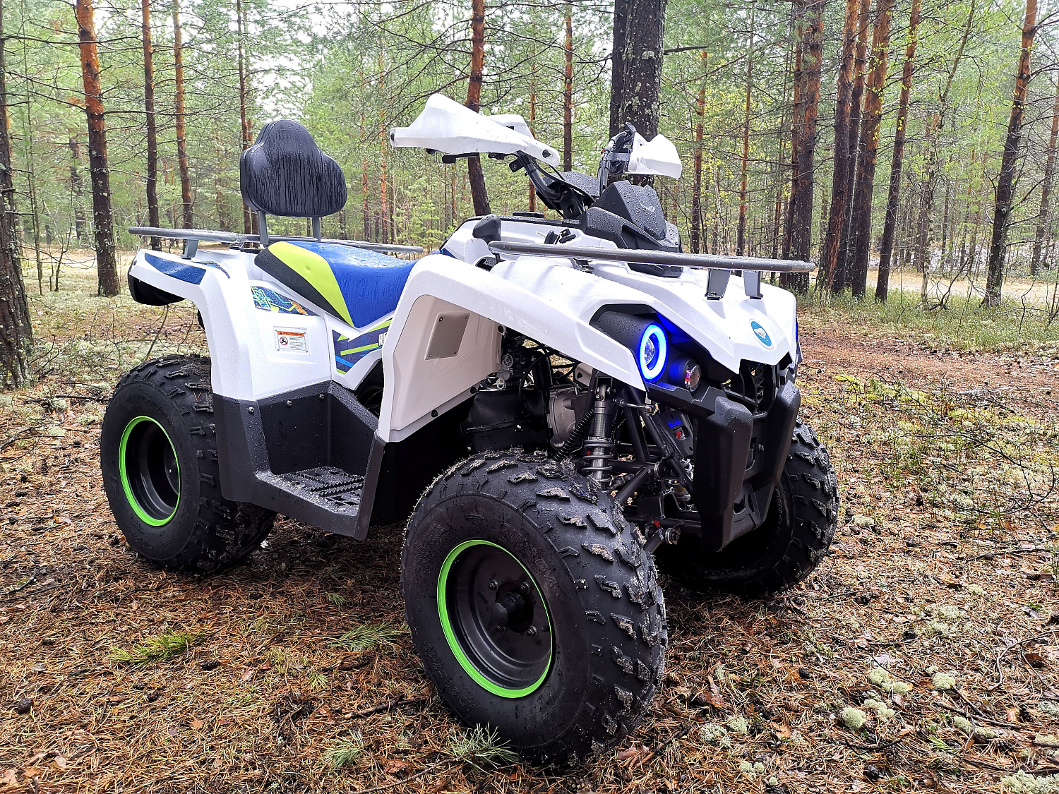 Квадроцикл PROMAX RENEGADE 280 (2025) в Муроме