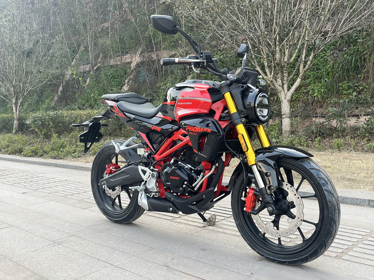 Мотоцикл PROMAX CB300 в Муроме