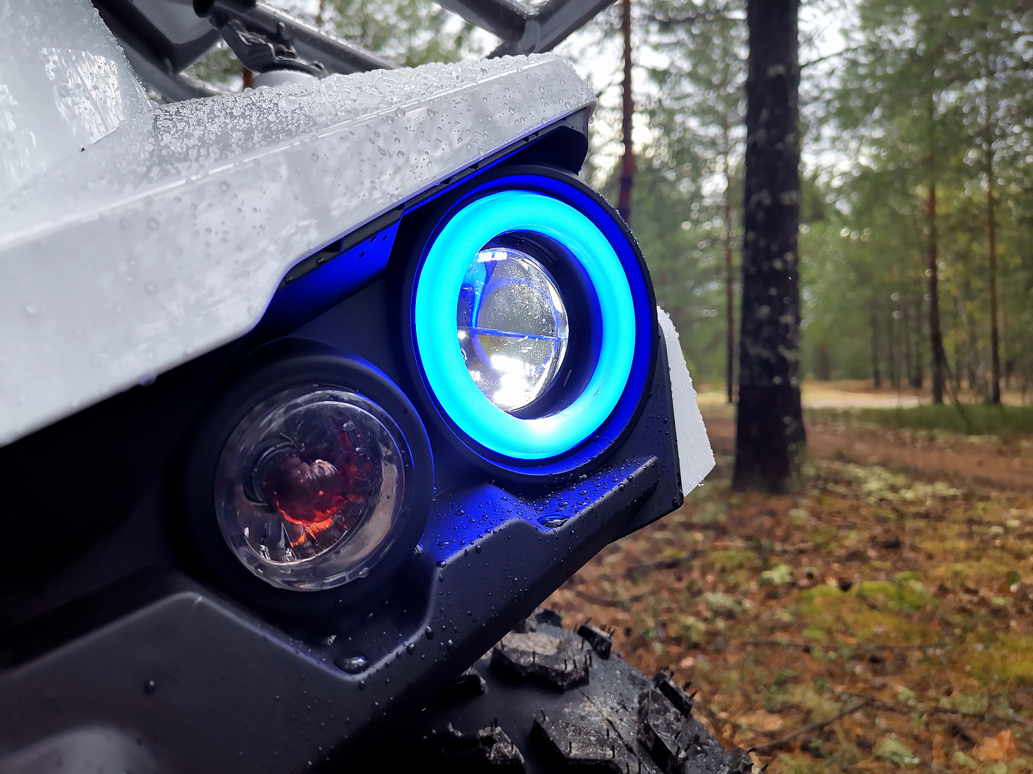 Квадроцикл PROMAX RENEGADE 280 (2025) в Муроме