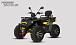 Квадроцикл PROMAX TAURUS 300 MAX-PRO LONG в Муроме